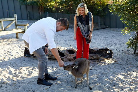Albany's Whale Story - Tourism Noosa 1
