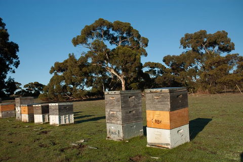 Fine Flavours - Full Day Kangaroo Island Food & Wine Tour - Tourism Noosa 1