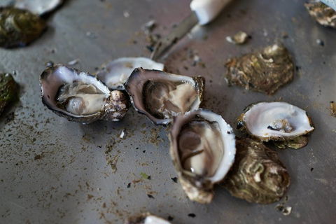 Fine Flavours - Full Day Kangaroo Island Food & Wine Tour - Tourism Noosa 2