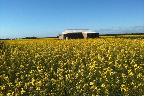 Fine Flavours - Full Day Kangaroo Island Food & Wine Tour - Tourism Noosa 3