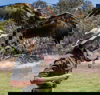 One Day Kangaroo Island Sip  See tour with return ferry transfers from Adelaide - Tourism Noosa