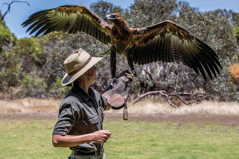 One Day Kangaroo Island Sip & See Tour With Return Ferry Transfers From Adelaide - Tourism Noosa 0