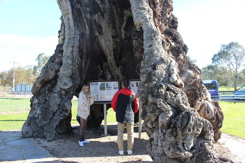 Barossa And Hahndorf Day Trip From Adelaide Including Wine Tasting And Lunch - Tourism Noosa 1