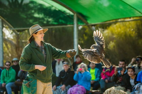 Full Day Kangaroo Island Sip And See Tour Departing From Kangaroo Island - Tourism Noosa 1