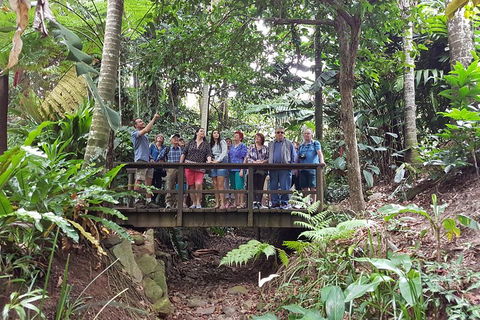 Cairns Shore Excursion: Cairns City Sights & Surrounds Tour - Tourism Noosa 1