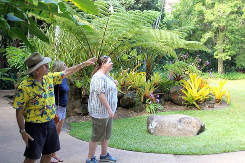 Cairns Shore Excursion: Cairns City Sights & Surrounds Tour - Tourism Noosa 4