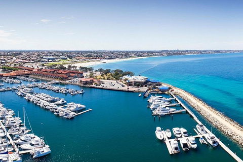 Glass Bottom Boat & Entry At AQWA - Tourism Noosa 2
