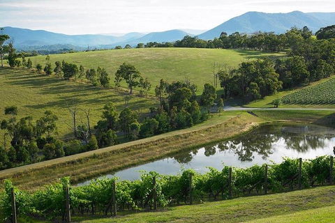 Yarra Valley Wine And Cider Tours By Classic Convertibles From Melbourne - Tourism Noosa 1