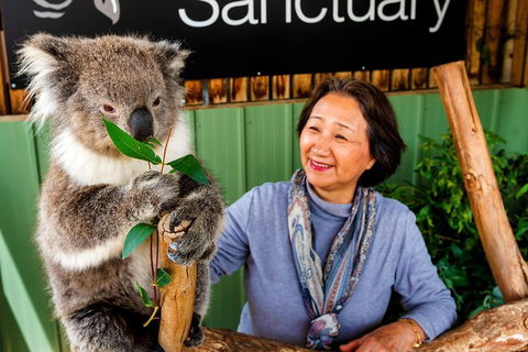 Moonlit Sanctuary Wildlife Conservation Park Daytime General Entry Ticket - Tourism Noosa 0