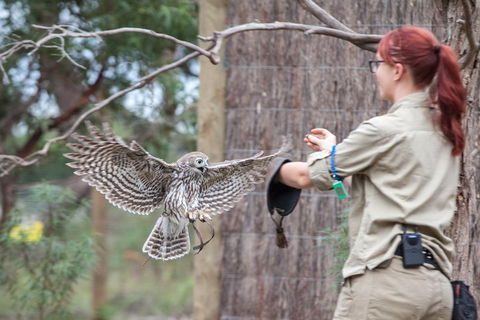 Moonlit Sanctuary Wildlife Conservation Park Daytime General Entry Ticket - Tourism Noosa 1