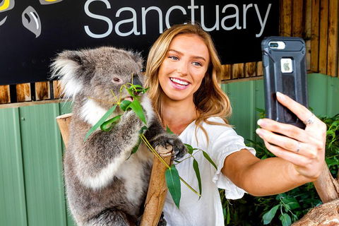 Moonlit Sanctuary Wildlife Conservation Park Daytime General Entry Ticket - Tourism Noosa 4