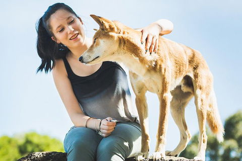 Moonlit Sanctuary Wildlife Conservation Park Daytime General Entry Ticket - Tourism Noosa 5