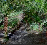 Adelaide to Melbourne 3-Day Trip through Grampians and Great Ocean Road - Tourism Noosa