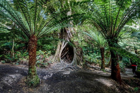 Adelaide To Melbourne 3-Day Trip Through Grampians And Great Ocean Road - Tourism Noosa 0