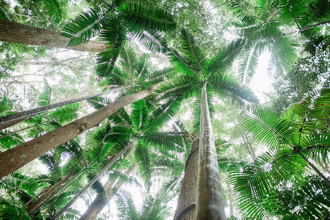 Fraser Explorer K'gari 2-Day Tour - Tourism Noosa 2