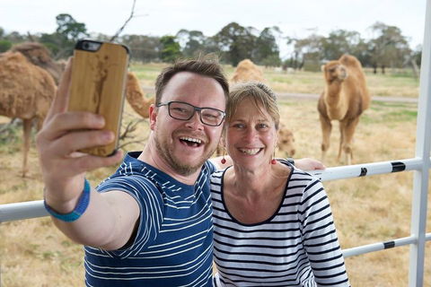 Off-Road Safari At Werribee Open Range Zoo - Tourism Noosa 1