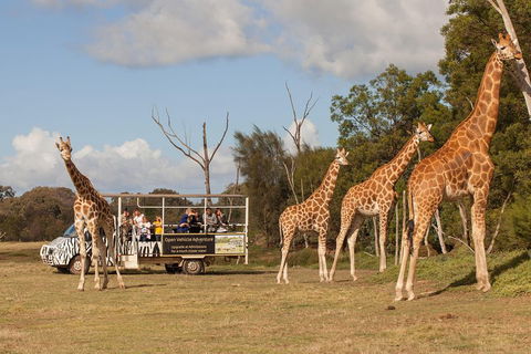 Off-Road Safari At Werribee Open Range Zoo - Tourism Noosa 3