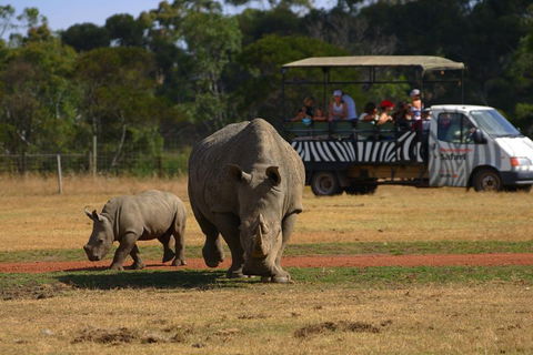 Off-Road Safari At Werribee Open Range Zoo - Tourism Noosa 5