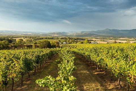 Yarra Valley Local Produce And Wine Tasting Tour - Tourism Noosa 3