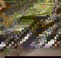 Adelaide Highlights Hahndorf  McLaren Vale Wine Tasting and Sightseeing Tour - Tourism Noosa