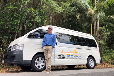 Sunshine Coast Hinterland Rainforest, Views And Montville Day Tour Inc. Lunch - Tourism Noosa 1