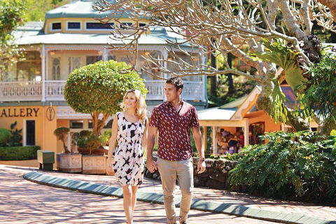 Sunshine Coast Hinterland Rainforest, Views And Montville Day Tour Inc. Lunch - Tourism Noosa 4