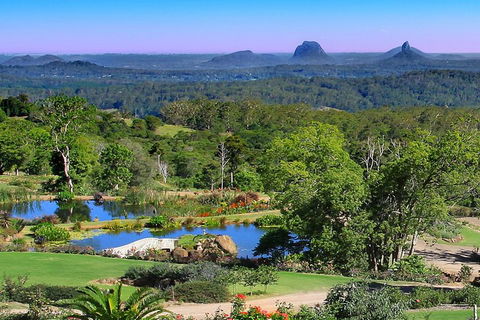 Sunshine Coast Hinterland Rainforest, Views And Montville Day Tour Inc. Lunch - Tourism Noosa 5
