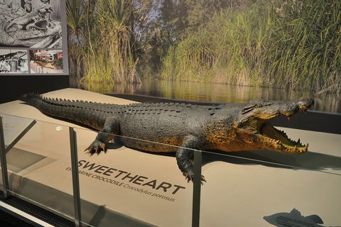Explore Darwin City Sights Including Key Attractions - Tourism Noosa 2