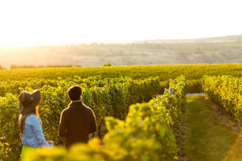 Margaret River Private Tour - Tourism Noosa 2