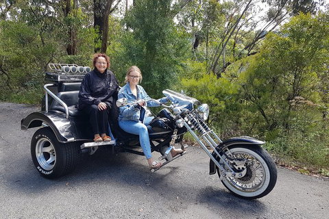 Blue Mountains 1-Hour Trike Tour Of Three Sisters - Tourism Noosa 1