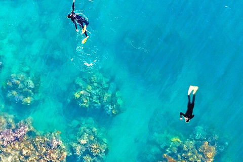 Fly & Cruise - Seaplane Package - Tourism Noosa 1