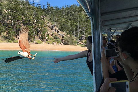 Aquascene Magnetic Island Discovery Tour - Tourism Noosa 2