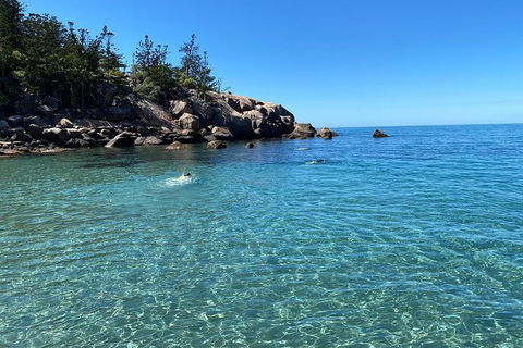 Aquascene Magnetic Island Discovery Tour - Tourism Noosa 5