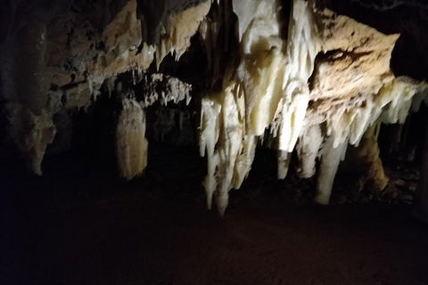 The Pinnacle Adventure Tour - Tourism Noosa 0