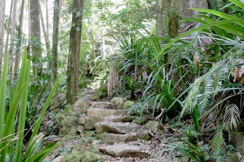 Byron Bay Combo: Minyon Falls And Hinterland Day Trip And Learn To Surf At Byron Bay - Tourism Noosa 3