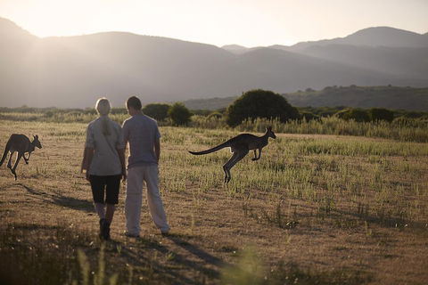 Overnight Daylesford And Macedon Ranges Gourmet Food Trail Tour From Melbourne - Tourism Noosa 1