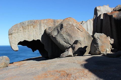 Kangaroo Island Personal Group Tours - Tourism Noosa 2