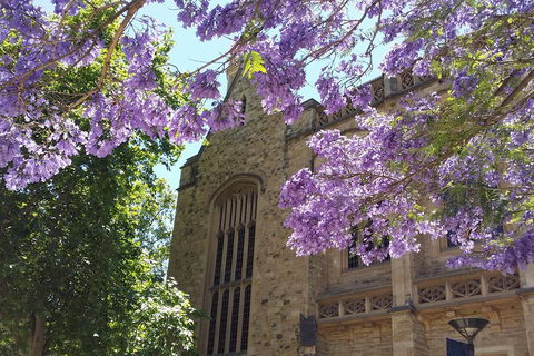 Cultural Caper Adelaide Walking Tour - Tourism Noosa 1