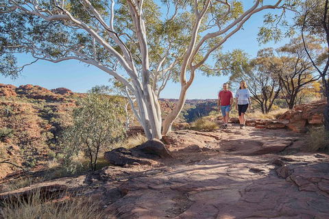 3-Day Tour From Uluru (Ayers Rock) To Alice Springs Via Kings Canyon - Tourism Noosa 1