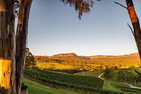 Taste Of The Blue Mountains - Lunch & Wine Tasting, Beer, Cider & Gin Tasting - Tourism Noosa 1