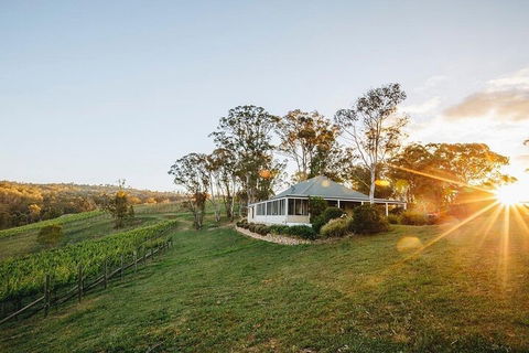Taste Of The Blue Mountains - Lunch & Wine Tasting, Beer, Cider & Gin Tasting - Tourism Noosa 2