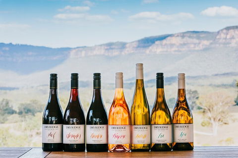 Taste Of The Blue Mountains - Lunch & Wine Tasting, Beer, Cider & Gin Tasting - Tourism Noosa 3