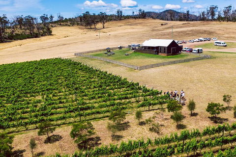 Tasmanian Wine Tour - Tourism Noosa 3