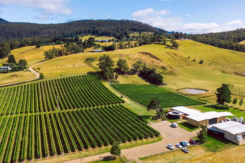 Tasmanian Wine Tour - Tourism Noosa 4
