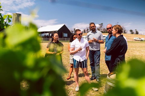 Tasmanian Wine Tour - Tourism Noosa 5