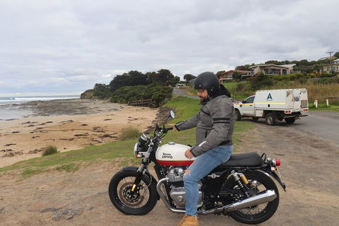 Royal Enfield Interceptor 650cc - Tourism Noosa 3