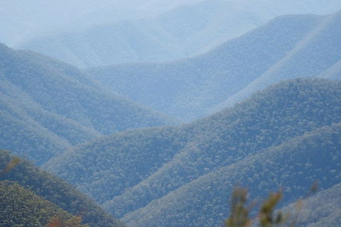 From The Mountains To The Bay - 4 Day Rediscovery Private Tour - Tourism Noosa 1