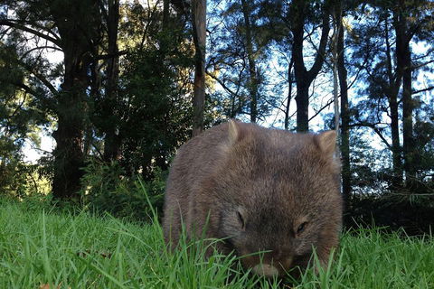 From The Mountains To The Bay - 4 Day Rediscovery Private Tour - Tourism Noosa 5