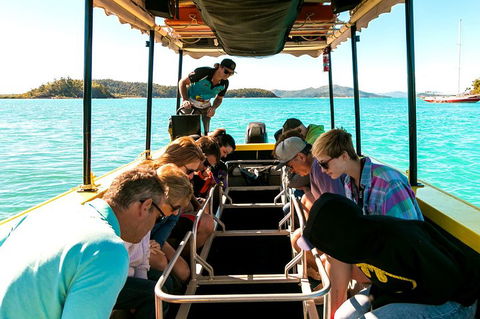 Airlie Beach Glass Bottom Boat Tour - Tourism Noosa 1