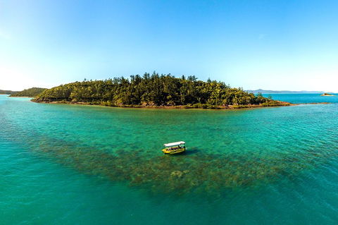 Airlie Beach Glass Bottom Boat Tour - Tourism Noosa 3